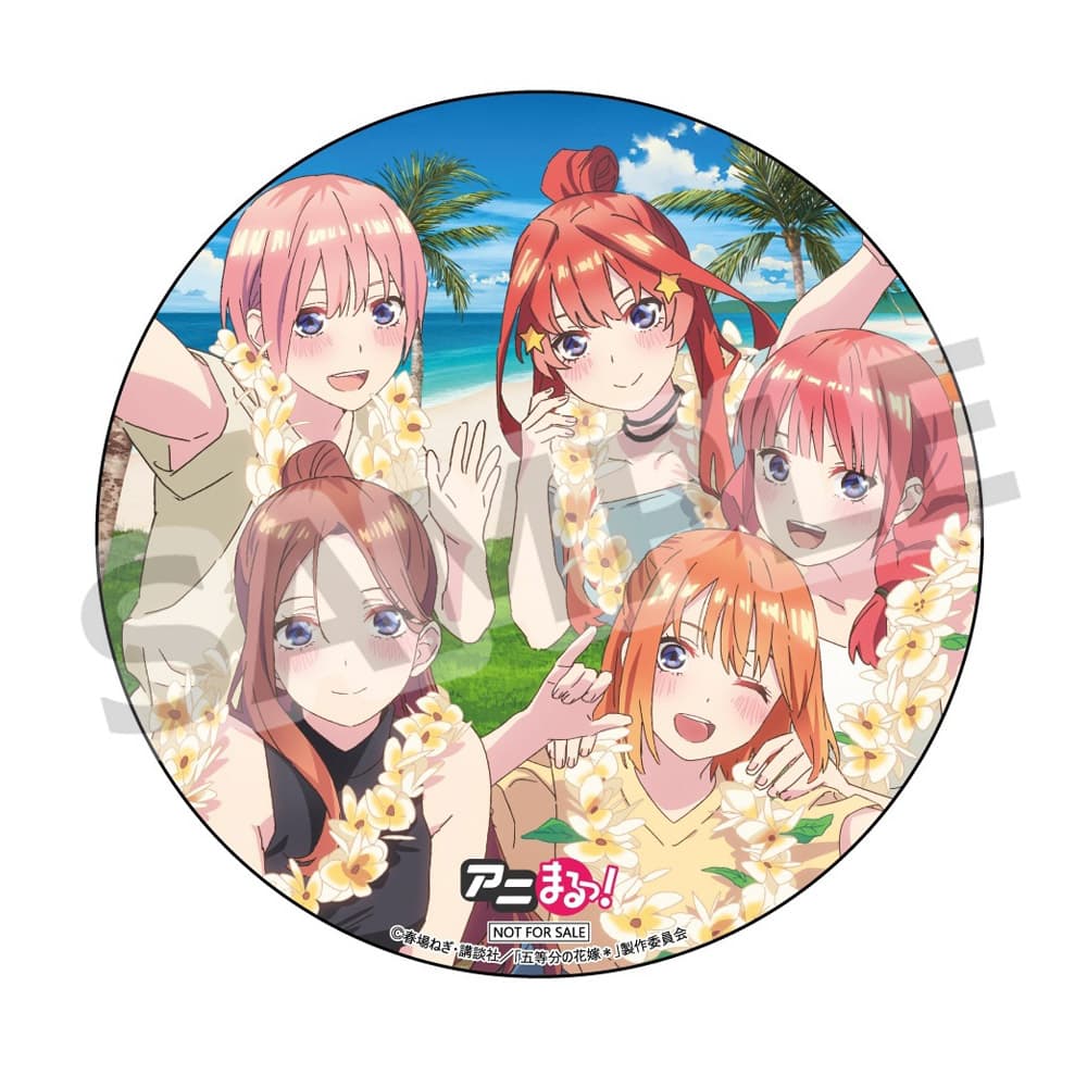 アニまるっ！：デカ缶バッジ