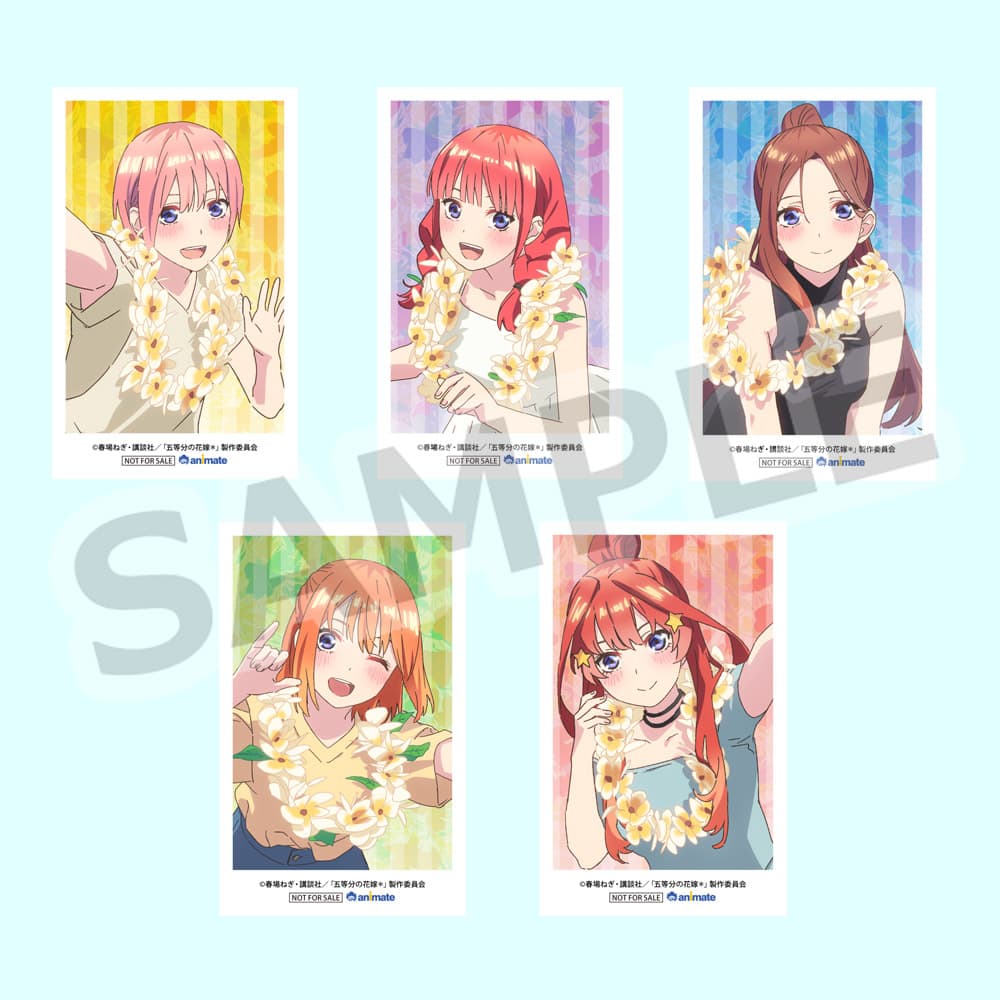 全国アニメイト(通販含む)：ミニフォト5枚セット
