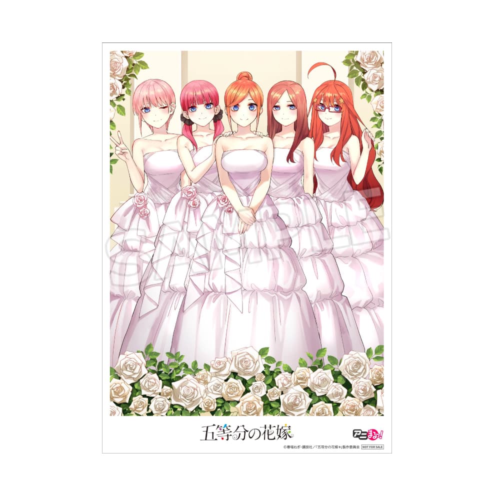 店舗別特典情報