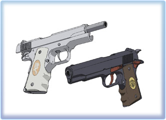 $B2hA|!'%3%k%H!&%,%P%a%s%H(B