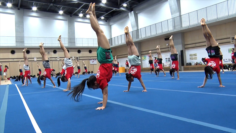 帝京大学チアリーディング部“BUFFALOS”