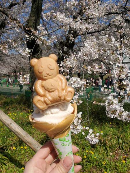 桜アイス