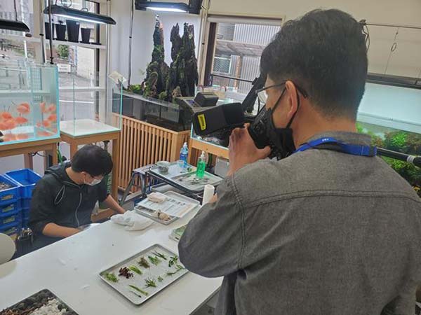 カメラマン越し