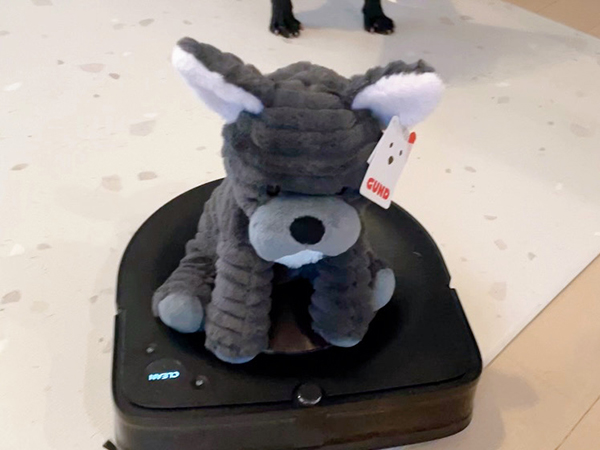 お掃除ロボット