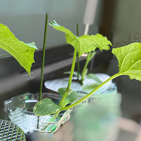 【4月28日】写真