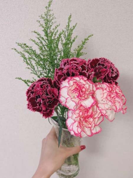 カーネーション