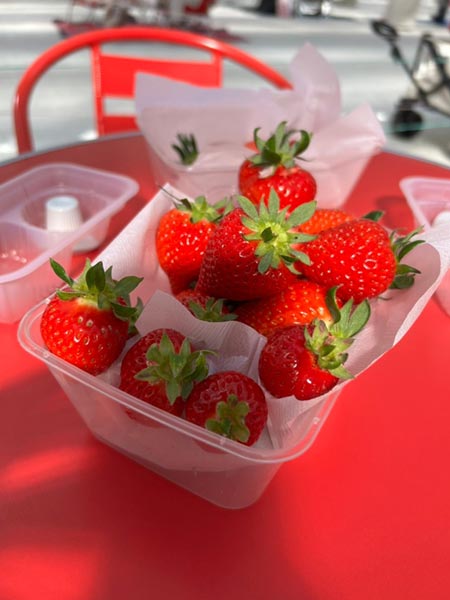 摘み取ったいちご