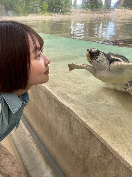 写真7アカウミガメその2