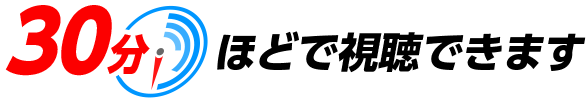 30分ほどで視聴できます