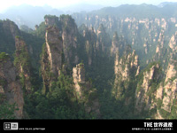 $B;3?e2h$r@8$s$@86Iw7J(B $BET;T$r0&$7$?0u>]GI(B