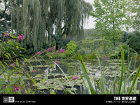 $B;3?e2h$r@8$s$@86Iw7J(B $BET;T$r0&$7$?0u>]GI(B