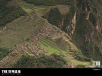 $B%$%s%+$XB3$/8EBe$NNr;K(B