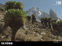 $BCO5e;K%7%j!<%:(B I $B%1%K%