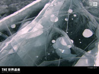 $BCO5e;K%7%j!<%:(BII $B%P%$%+%k8P(B