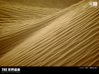 10$B7n(B23$BF|J|Aw!!%7%k%/%m!<%I$NN9(BI$B!!%t%#!<%J%9$+$iBgJ)$,@8$^$l$?(B