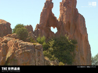 $B%3%k%7%+Eg$N%]%k%HOQ<~JU(B