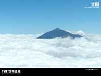 $B%F%$%G9qN)8x1`!J%9%Z%$%s!K(B