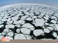 $B1'Ch%9%Z%7%c%k(B-$B3$N.$,@8$s$@N.I9$H%5%s%4(B-