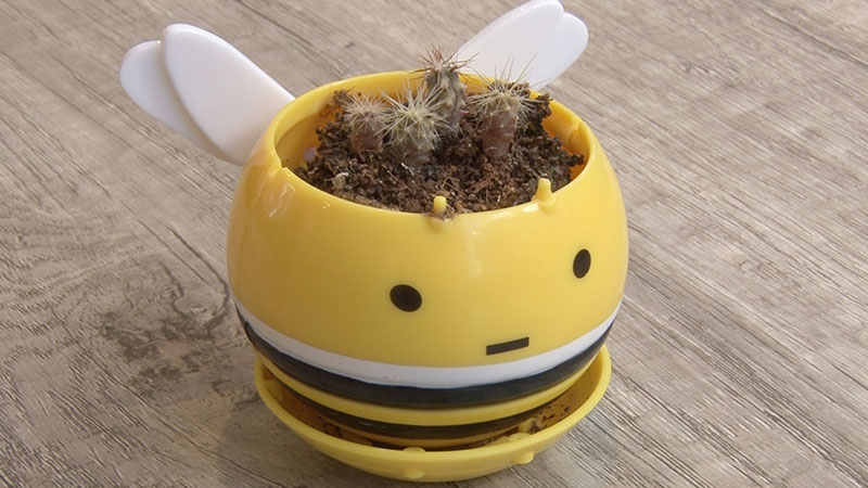 進化したカプセルトイとは！？