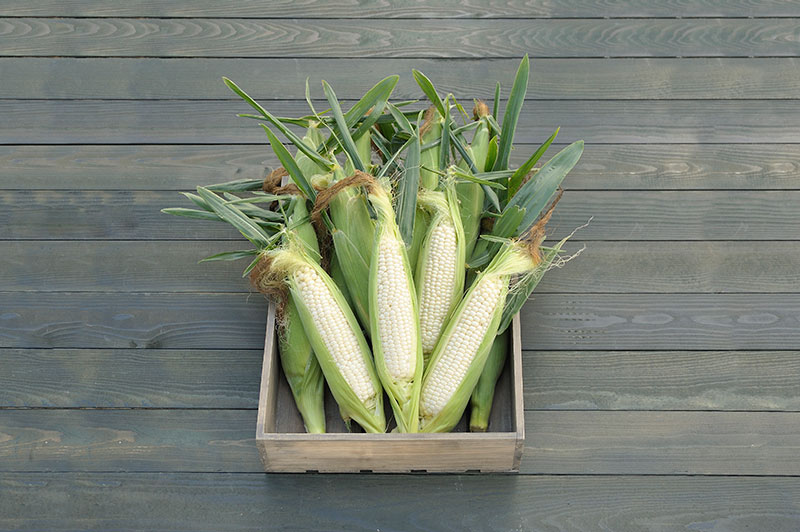 ・ピュアホワイト