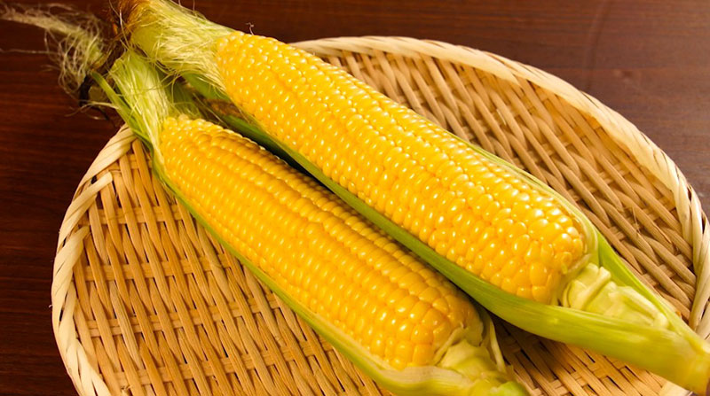 ・八ヶ岳生とうもろこし