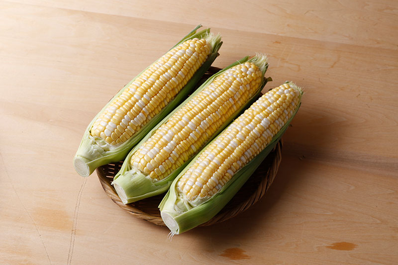 ・ドルチェドリーム®️