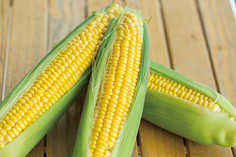 ・ゴールドラッシュ