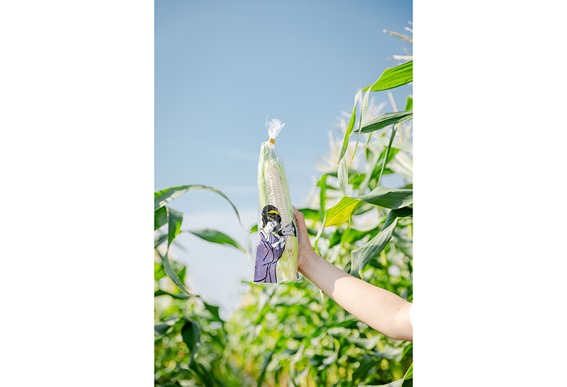 ・京都舞コーン