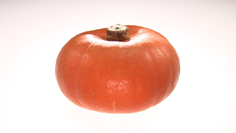 ■奥会津金山赤カボチャ（福島県金山町）