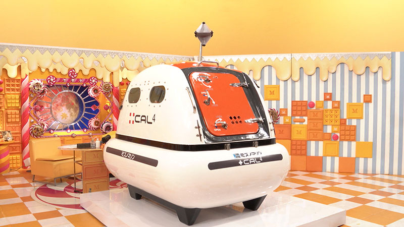 ■ミズノマリン「+CAL4 （タスカル）」198万円