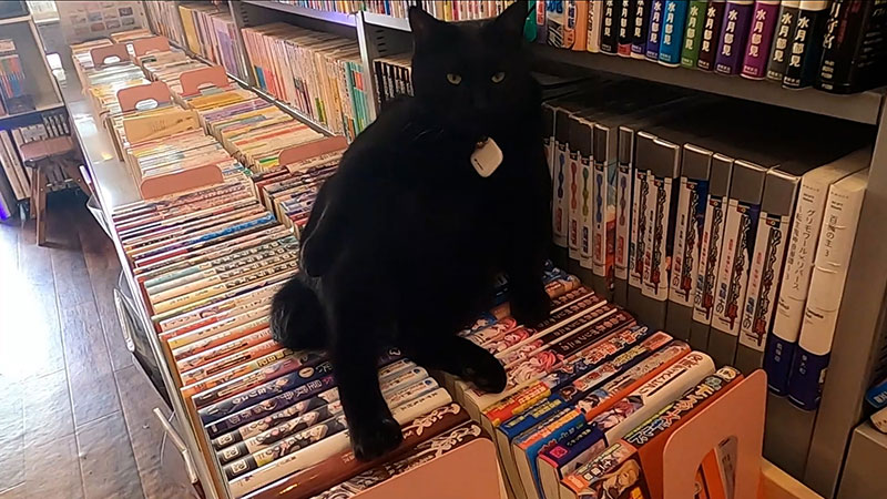 ■古本らんだむ