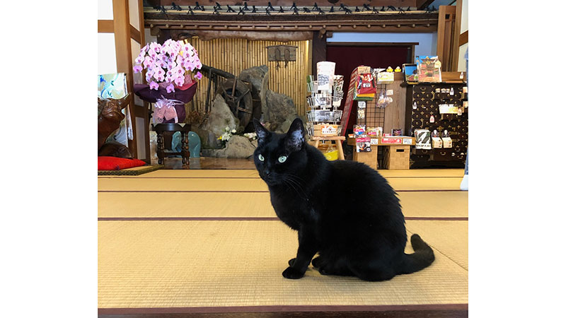 ■歴史の宿 金具屋／渋温泉