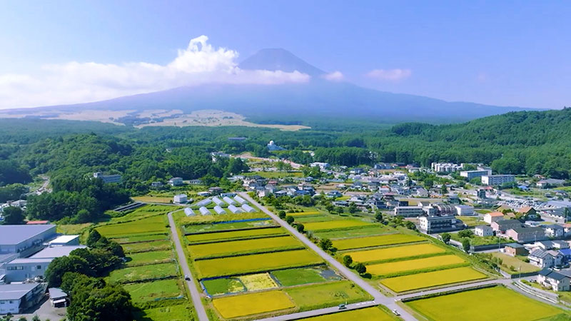 ■山梨県富士吉田市 7月10日前後の18時「若者のすべて」