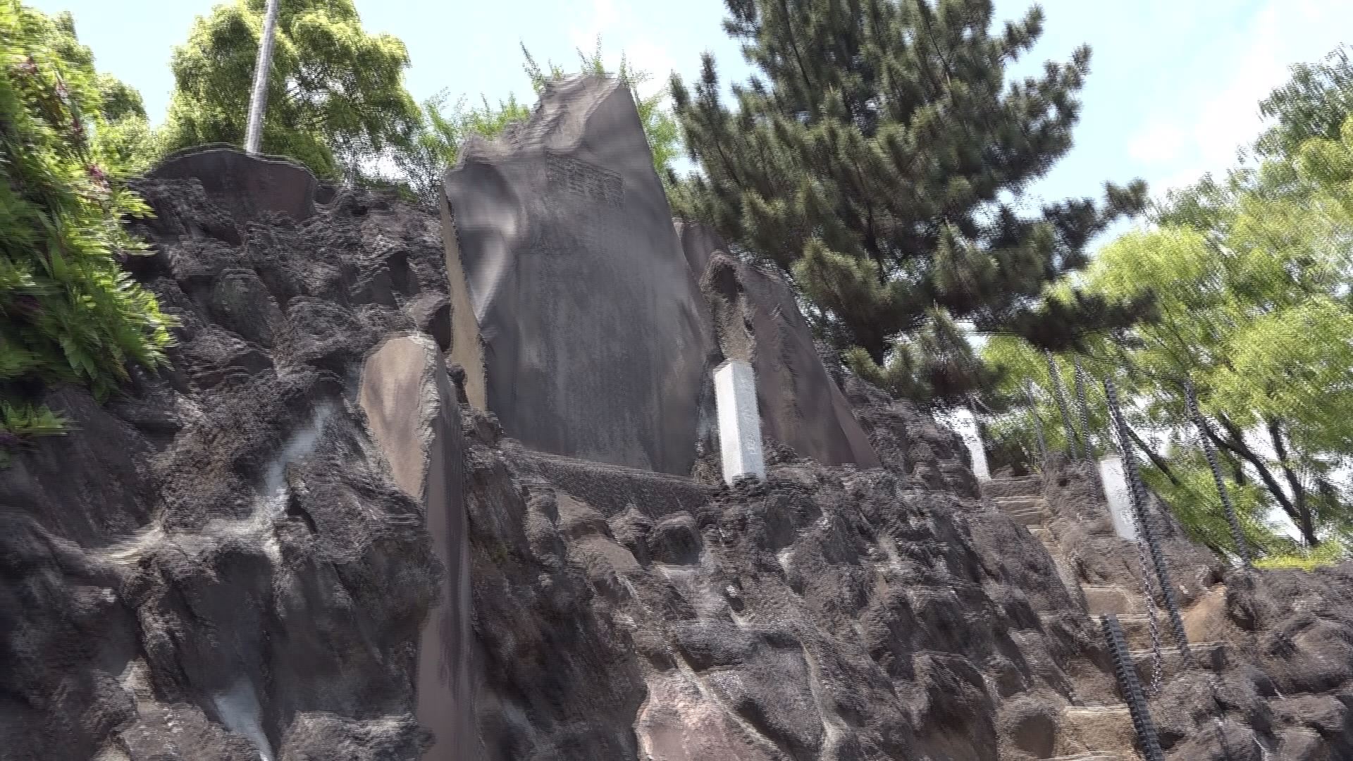 この記事の写真