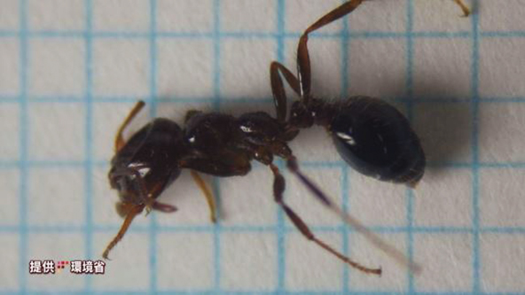 この記事の写真