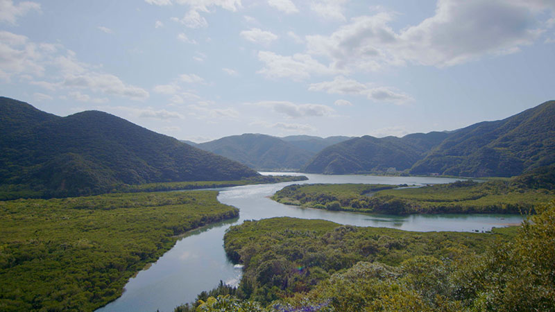 「山田洋次監督との思い出！奄美大島の郷土料理」
