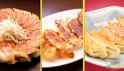 宇都宮vs浜松vs宮崎 地元の餃子愛No.1はどこだ！？