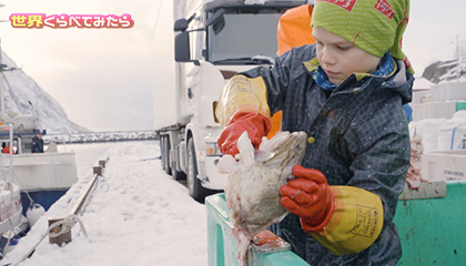 ★実は子どもでも短期間で100万円稼げる！？ in ノルウェー