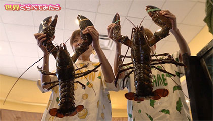 ＜世界くらべてみたら＞<br> ★はらぺこツインズが総重量6.5kgのロブスターヌードルに挑戦！