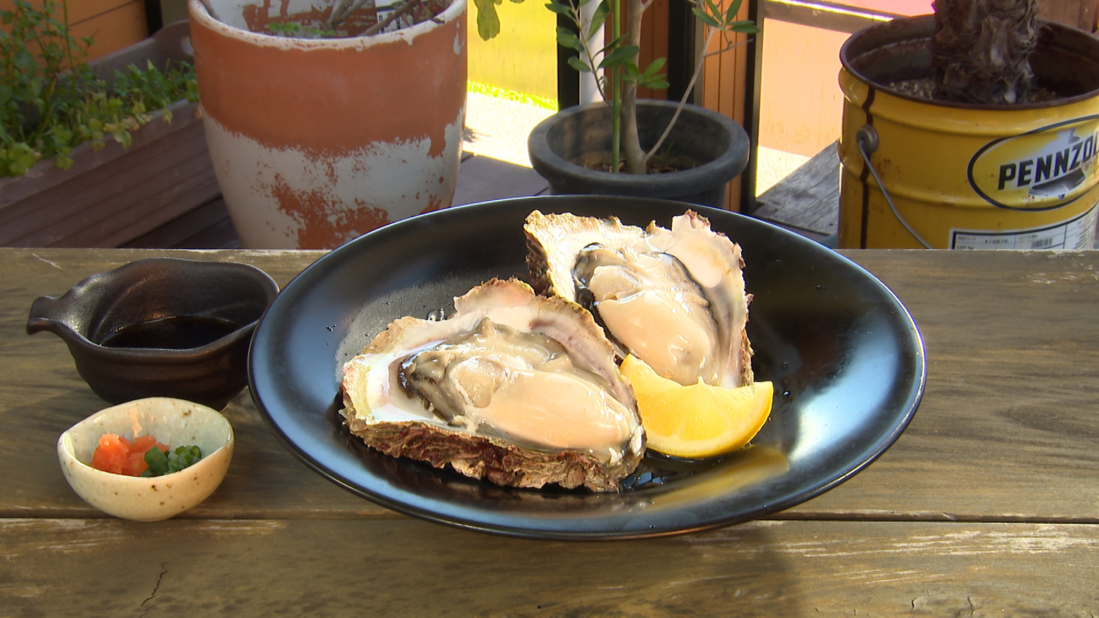 【オーナー自らが素潜りで獲る新鮮な岩牡蠣が味わえるカフェ！】