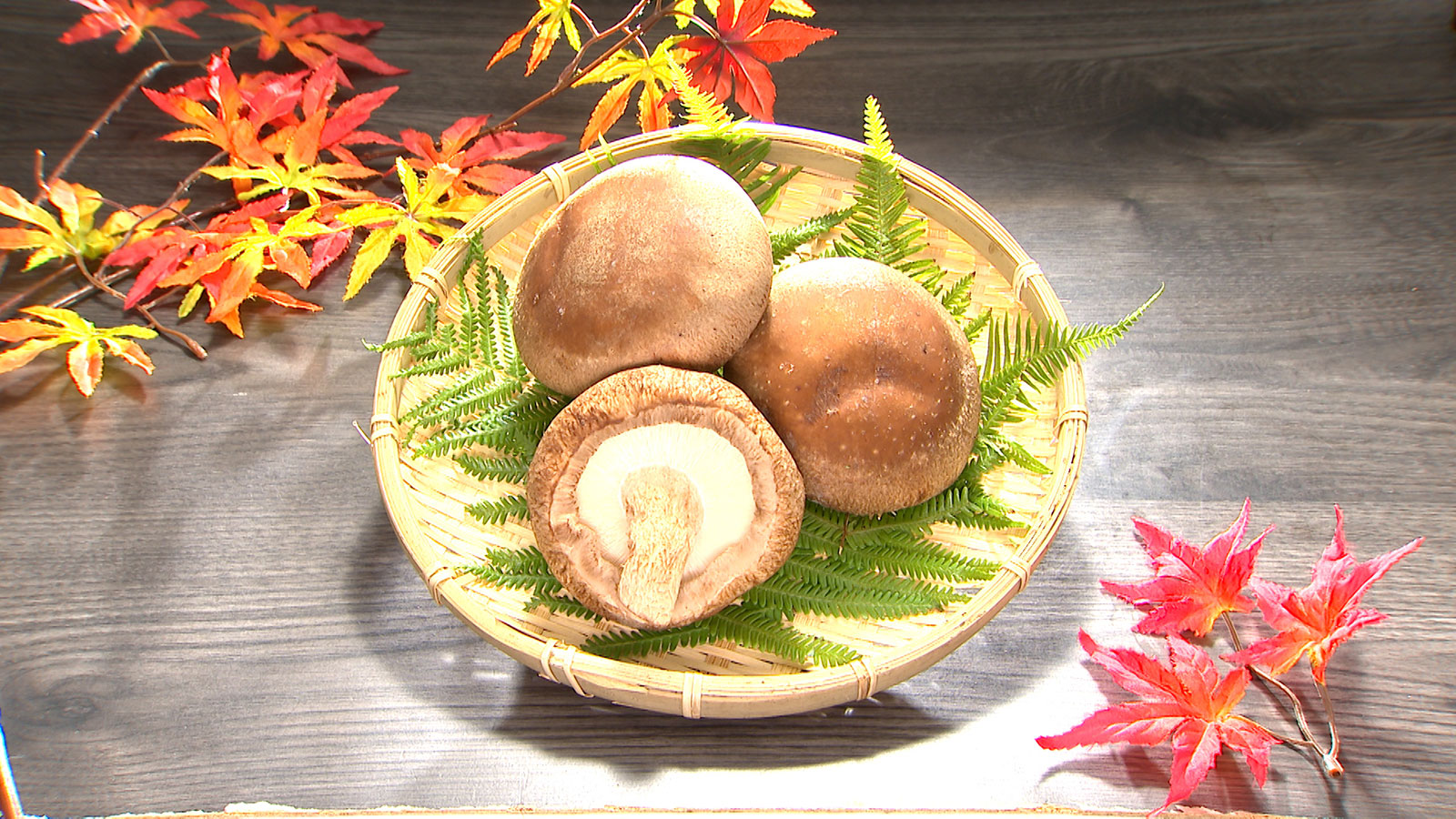 【秋田県八峰町】