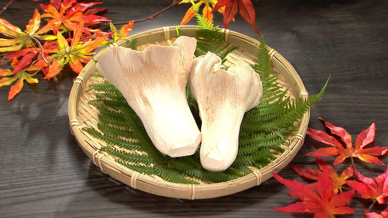 【群馬県みなかみ町】