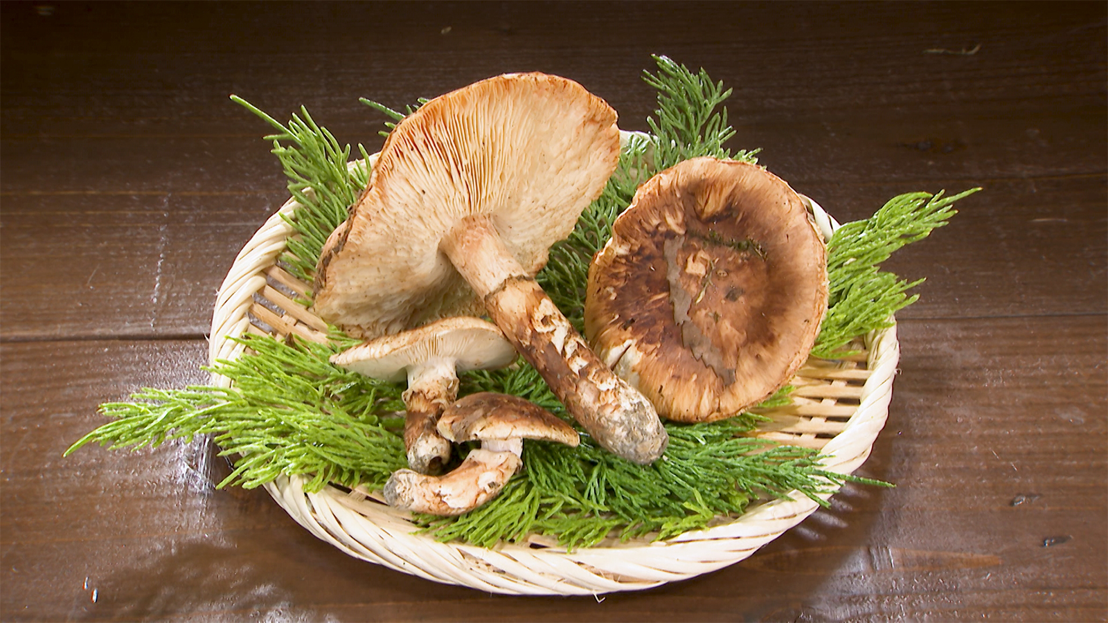 【秋田県にかほ市】