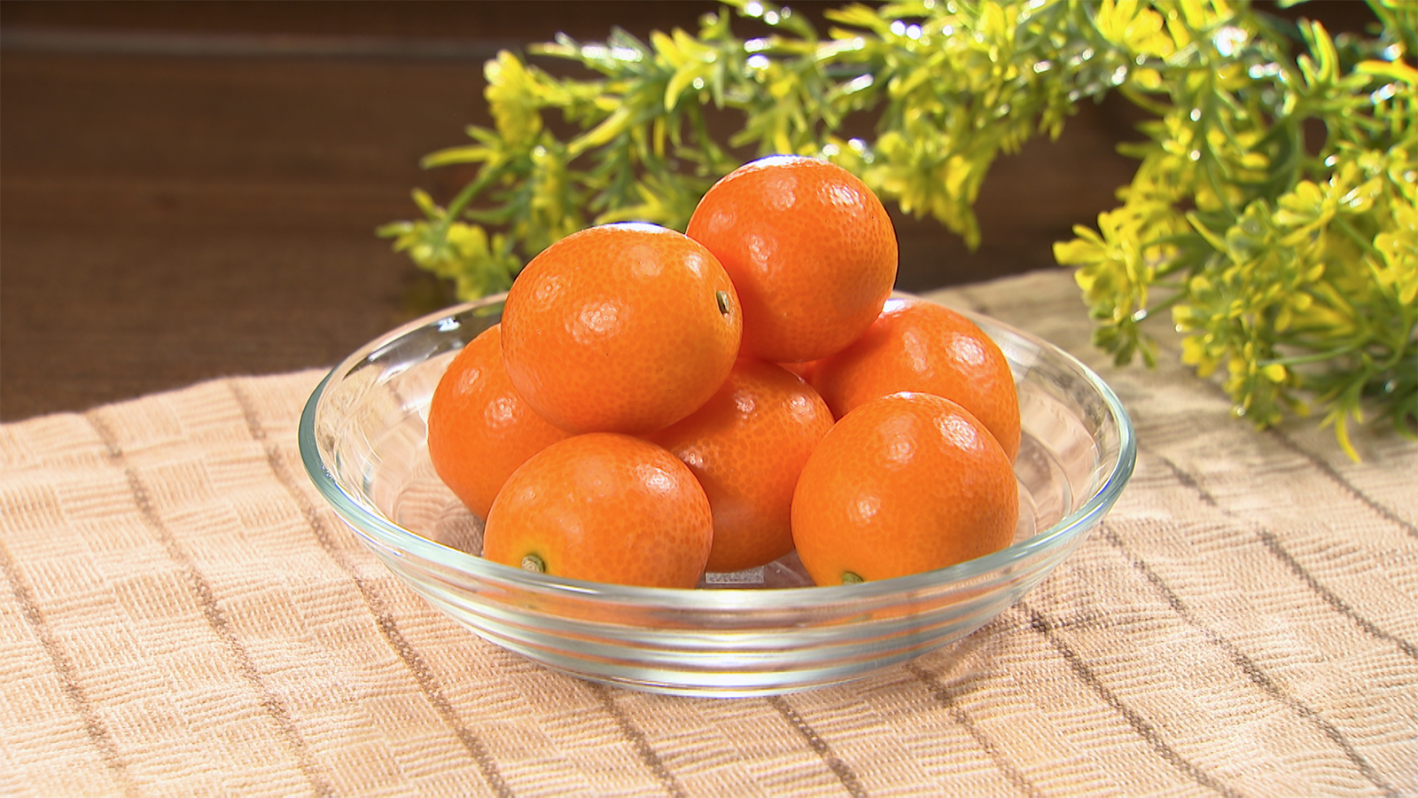 【鹿児島県薩摩川内市】