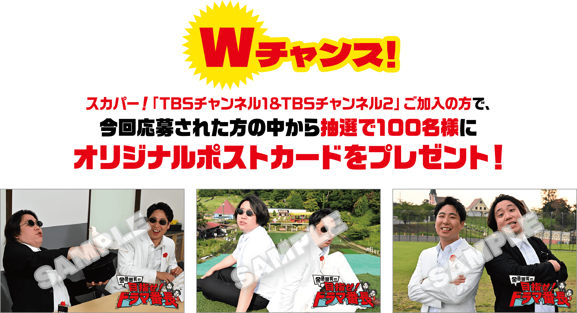 さらにWチャンス！スカパー！「TBSチャンネル1&TBSチャンネル2」ご加入の方で、今回応募された方の中から抽選で100名様にオリジナルポストカードをプレゼント！