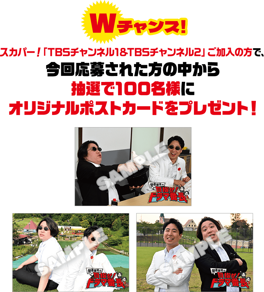 さらにWチャンス！スカパー！「TBSチャンネル1&TBSチャンネル2」ご加入の方で、今回応募された方の中から抽選で100名様にオリジナルポストカードをプレゼント！