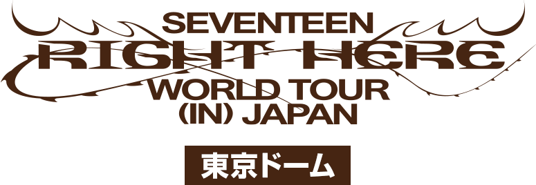 SEVENTEEN [RIGHT HERE] WORLD TOUR IN JAPAN 東京ドーム