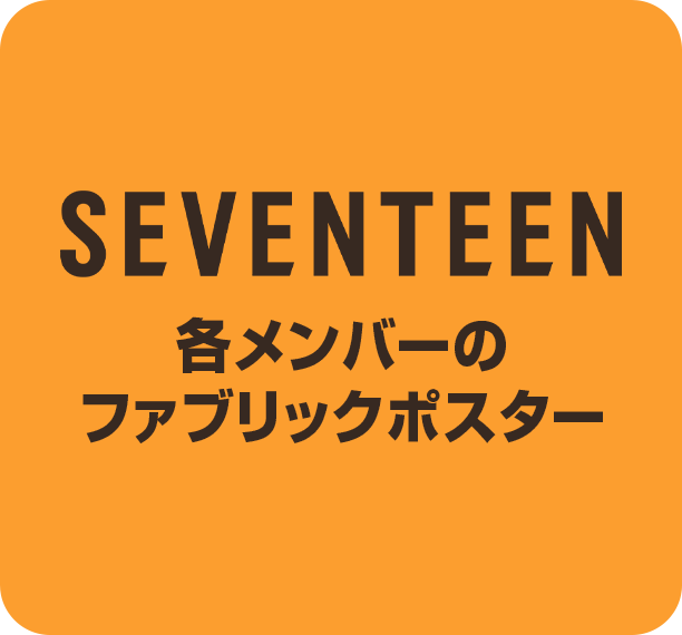 SEVENTEEN各メンバーのファブリックポスター サムネイル